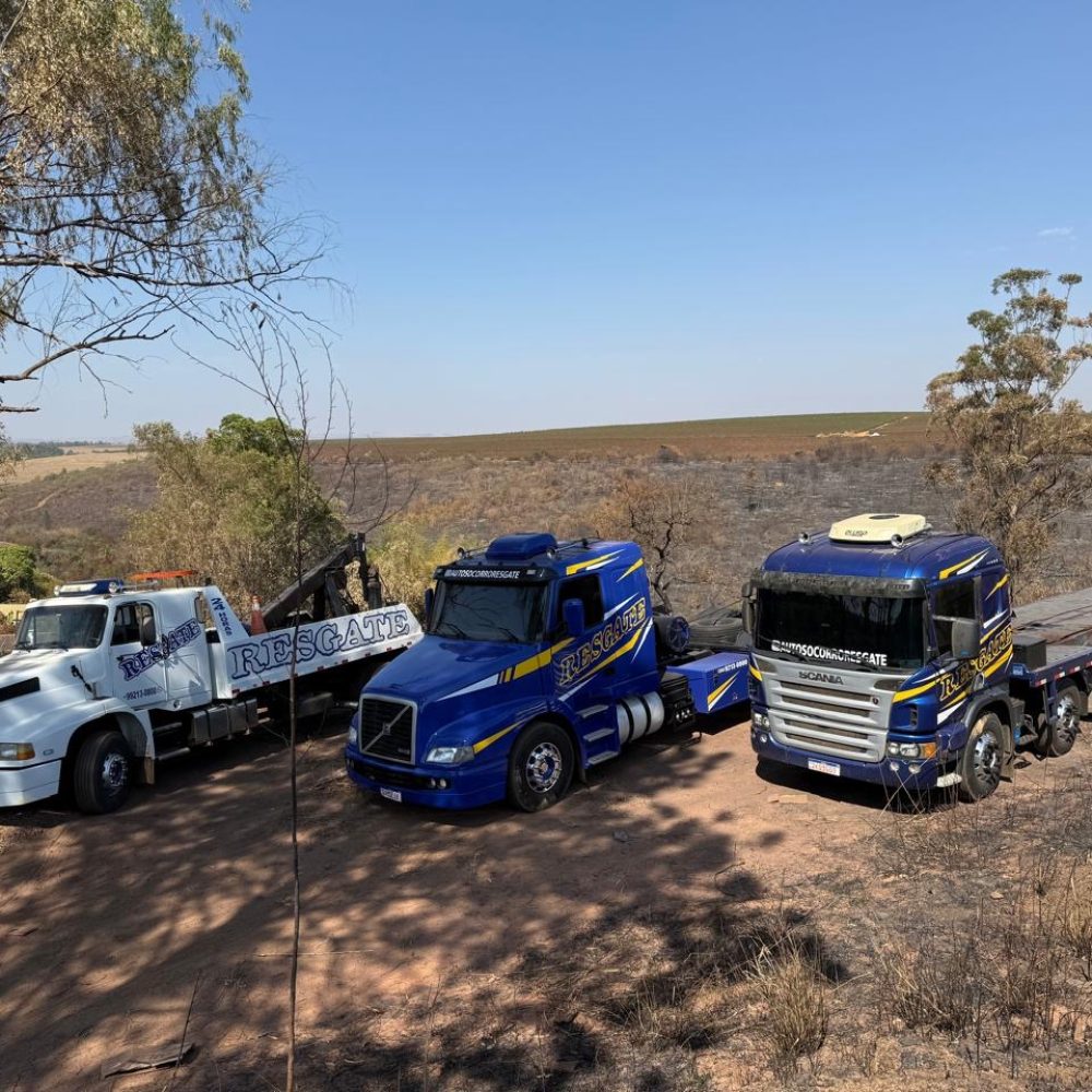 57c97dab-2dfd-4c2c-a592-49813715a9be